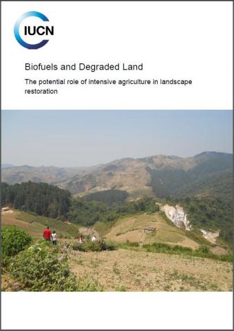 Biofuels and degraded land : the potential role of intensive ...
