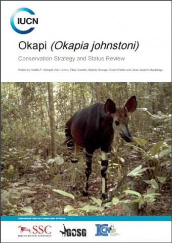 Okapi (Okapia johnstoni) | IUCN Library System
