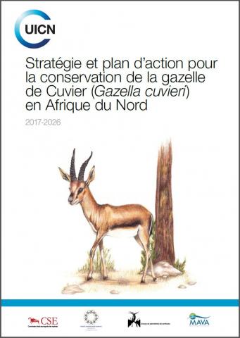 gazelle 2017