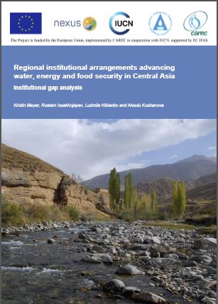 Regional institutional arrangements advancing water, energy and food ...