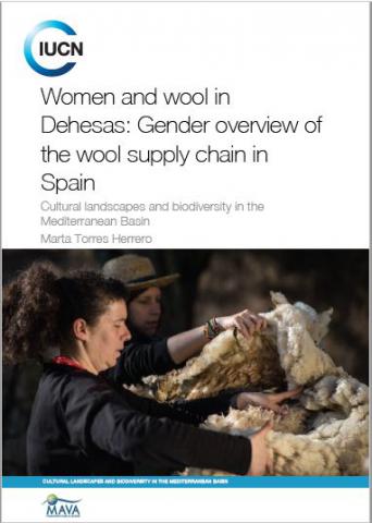 Women and wool in Dehesas : Gender overview of the wool supply chain in ...